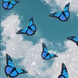 Meet your Posher, Gracie